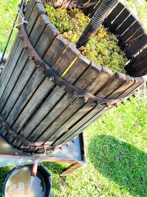 La-Marti, Idyllische Unterkunft Mit Kamin Bagdati Dış mekan fotoğraf
